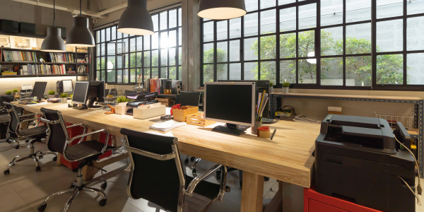 Reformas Integrales de Oficinas y Despachos San Juan de Alicante · Optimización de Espacios de Trabajo